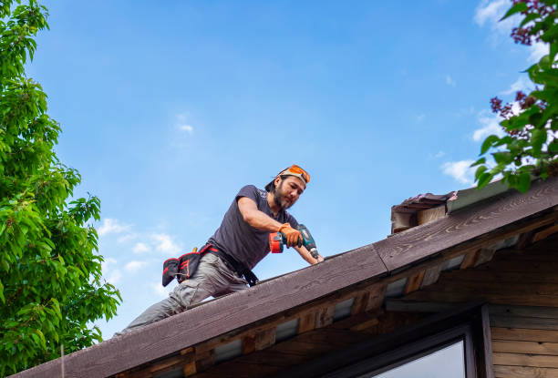 Best Roof Installation  in Ampere North, NJ